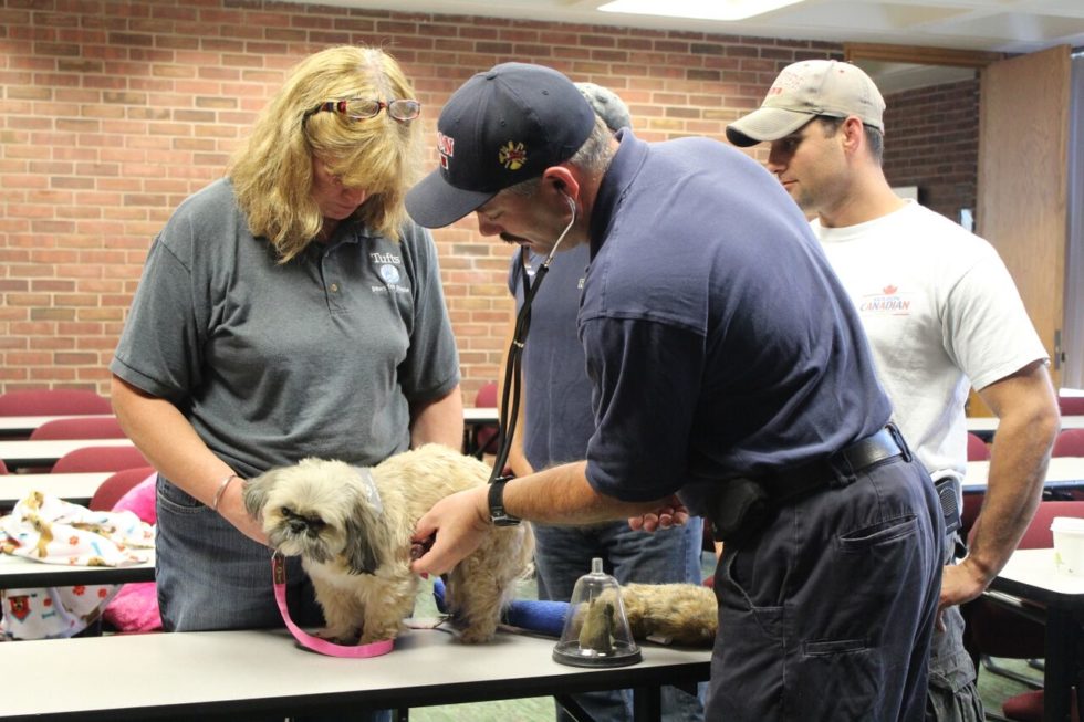 Marlborough, MA Veterinarian Massachusetts Veterinary Medical