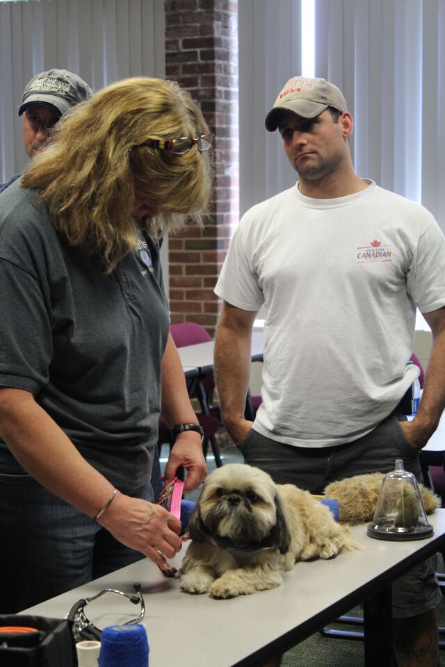 BART - Massachusetts Veterinary Medical Association Charities